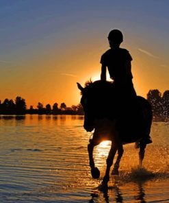 Horse Riding On A Beach paint by numbers