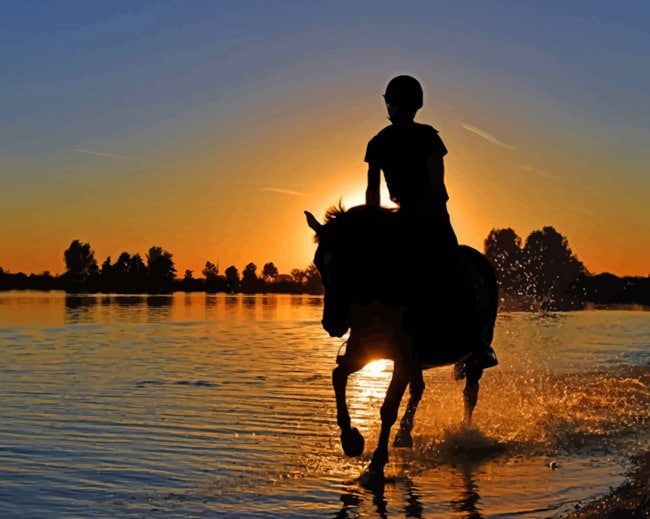 Horse Riding On A Beach paint by numbers