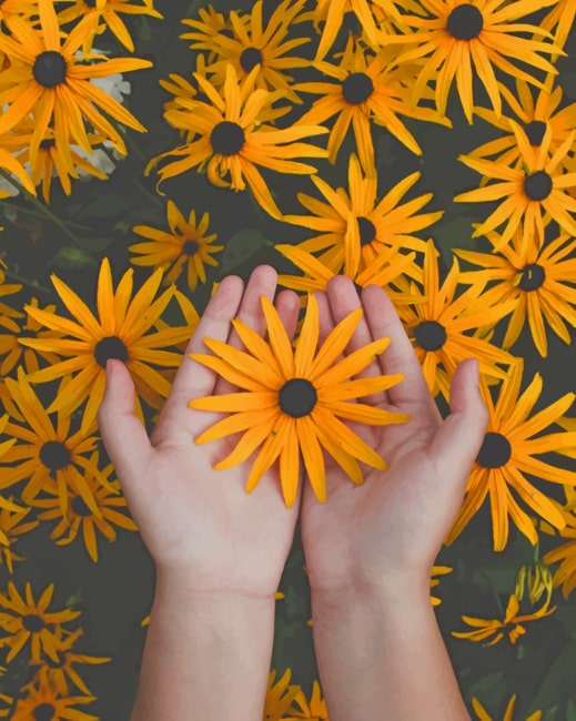 Yellow Susan Flowers paint by numbers