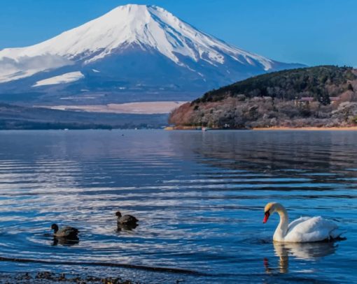 Swans In The Lake paint by numbers