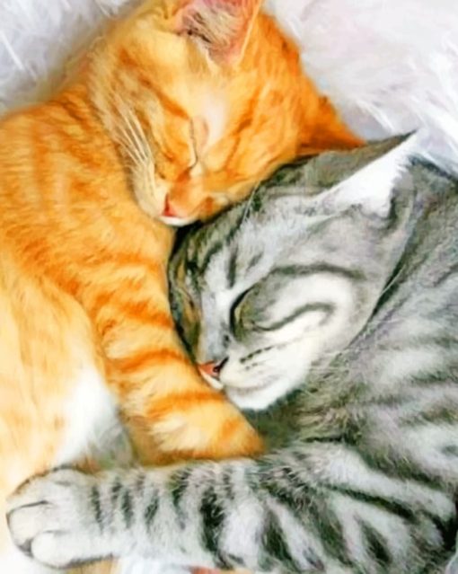 Tabby And Ginger Cats painting by numbers