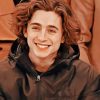 Temothee Chalamet paint by numbers