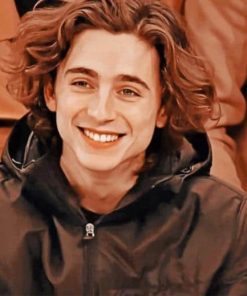 Temothee Chalamet paint by numbers