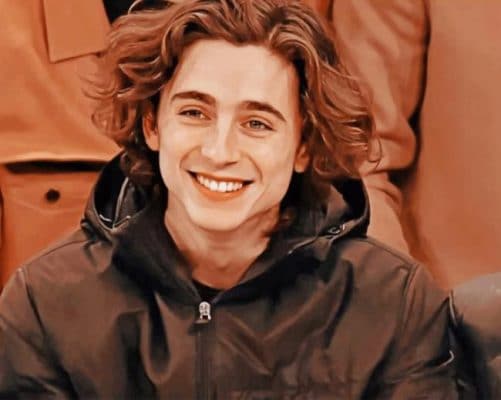 Temothee Chalamet paint by numbers