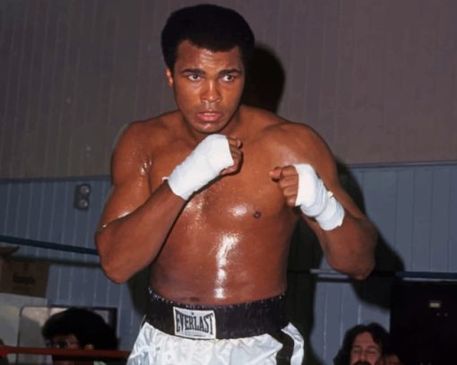 Mohammad Ali The Boxer paint by numbers