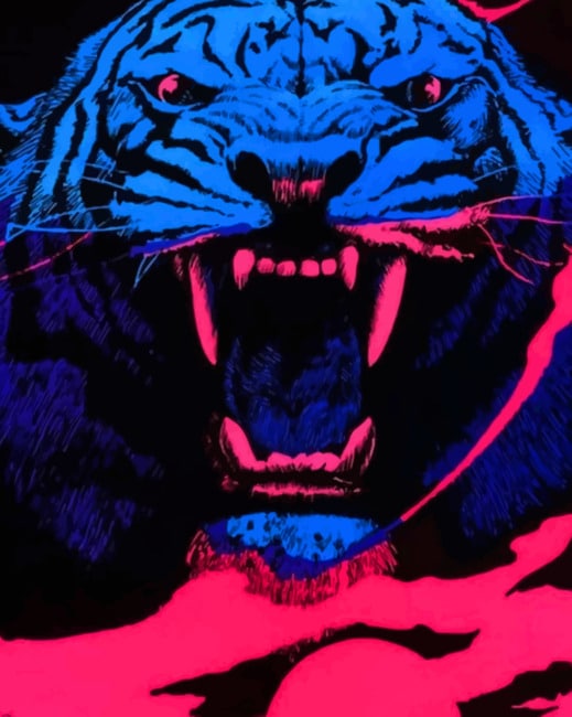 Tiger Art Work painting by numbers