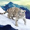 White Tiger In The Snow paint by numbers