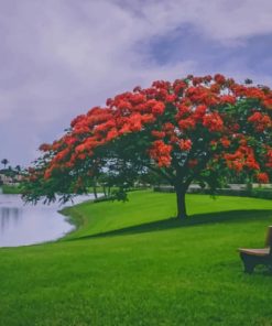 Chair And A Tree On The Lake paint by numbers