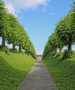 Path Between The Trees paint by numbers