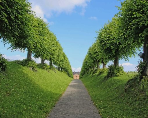 Path Between The Trees paint by numbers