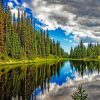 Trees Reflection In Clear Water paint by numbers