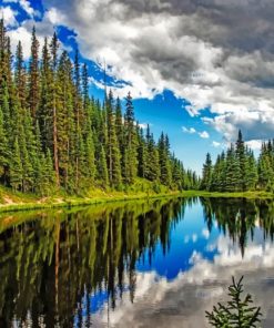 Trees Reflection In Clear Water paint by numbers