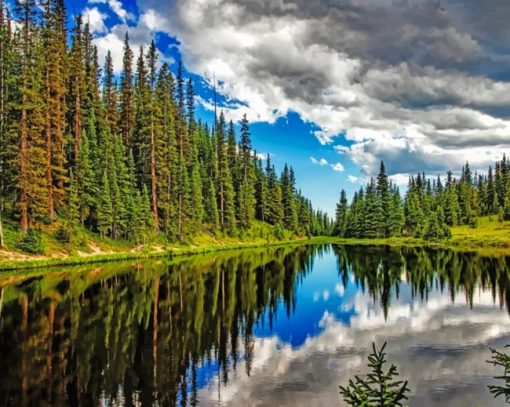 Trees Reflection In Clear Water paint by numbers