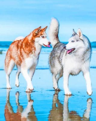 Siberian Huskies painting by numbers