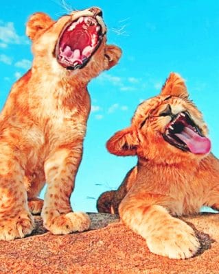 Two Cubs Screaming painting by numbers