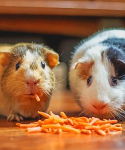 Two Hamsters Eating paint by numbers