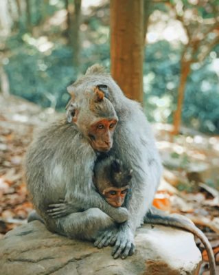 Monkeys Cuddling painting by numbers