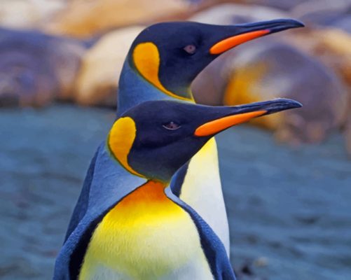Two Penguins paint by numbers