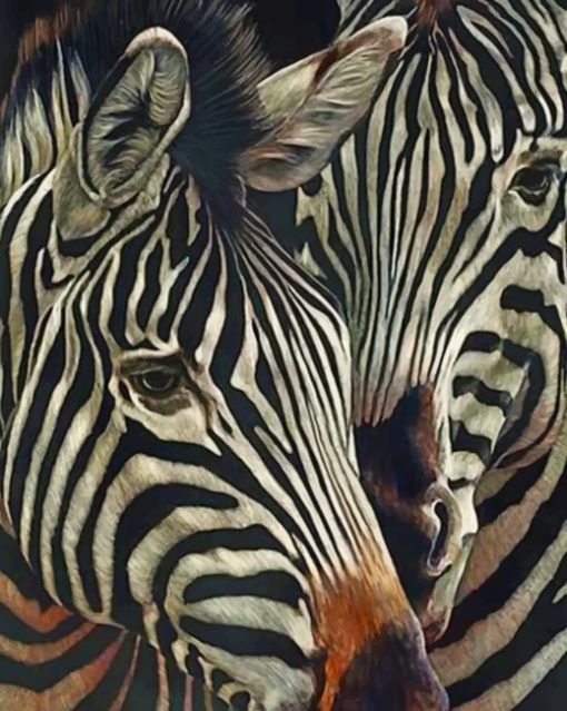 Two Zebras painting by nuumbers