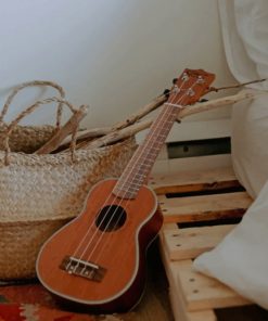 Ukulele Near A Basket paint by numbers