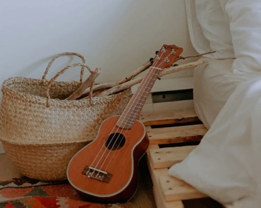 Ukulele Near A Basket paint by numbers