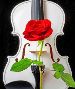 Violin With Red Rose paint by numbers