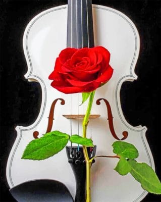 Violin With Red Rose paint by numbers