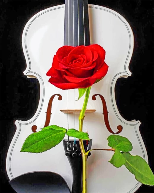 Violin With Red Rose paint by numbers