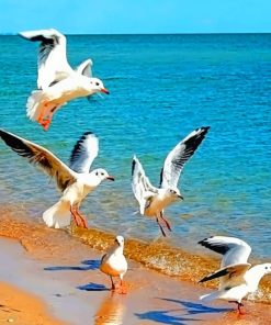 Beautiful Birds In Sea painting by numbers