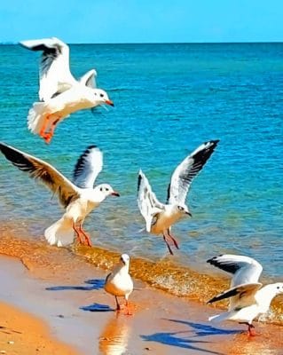 Beautiful Birds In Sea painting by numbers