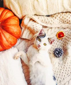 White Cat Lying Next To Pumpkin painting by numbers