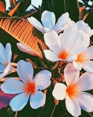 White Flowers painting by numbers