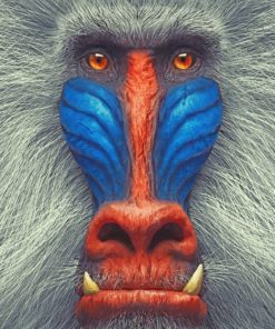 White Mandrill painting by numbers