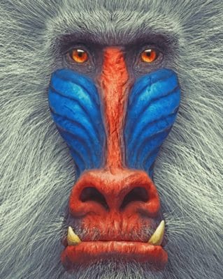 White Mandrill painting by numbers