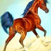 Wild Arabian Horse paint by numbers