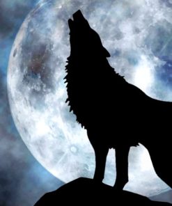 Lone Wolf Howling To The Moon painting by numbers