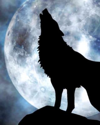 Lone Wolf Howling To The Moon painting by numbers