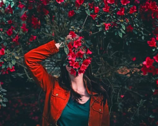 Woman Holding Red Flowers painting by numbers