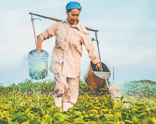 Woman Watering Plants painting by numbers