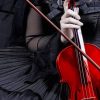 Lady Wearing Black Dress Holding Violin painting by numbers