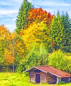 Wooden Cottage And Forest Paint by numbers