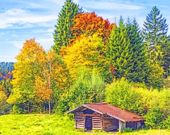 Wooden Cottage And Forest Paint by numbers