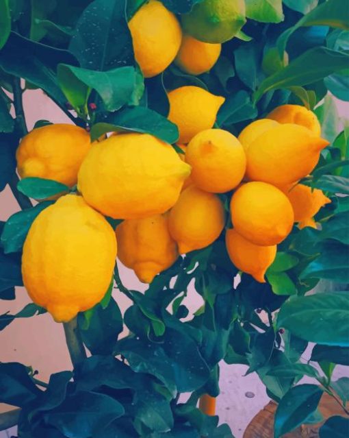 Yellow Lemon Tree painting by numbers