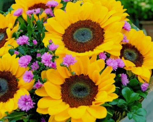 Yellow And Purple Flowers paint by numbers