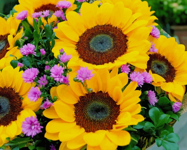 Yellow And Purple Flowers paint by numbers
