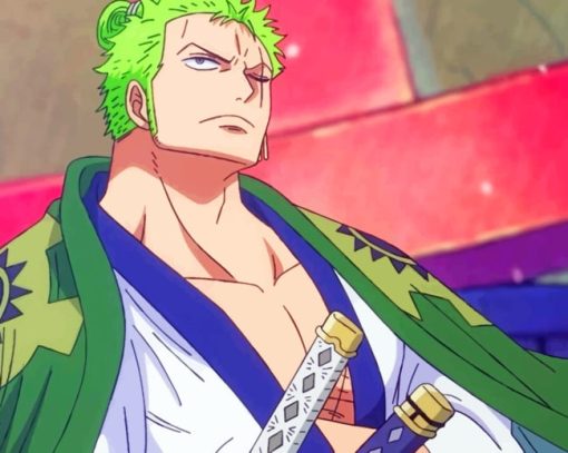 Zoro Shishi Son Son paint by numbers