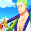 Zoro One Piece Character paint by numbers