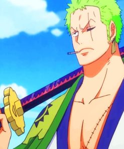 Zoro One Piece Character paint by numbers