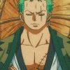 Zoro From One Peace painting by numbers