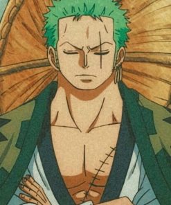 Zoro From One Peace painting by numbers